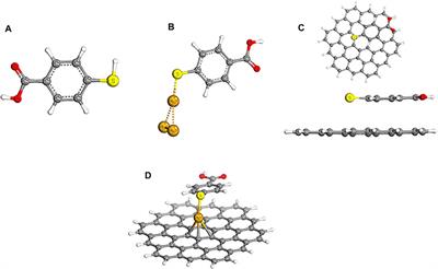 Surface-Enhanced Raman Spectroscopy Substrates: Plasmonic Metals to Graphene